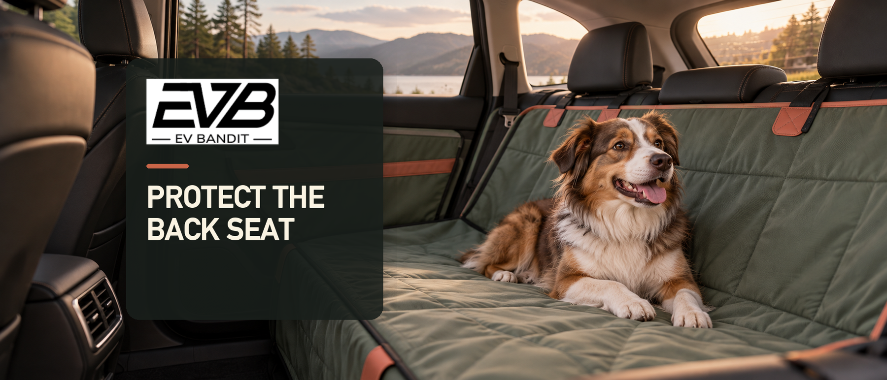 EV Bandit guide to protecting a Tesla rear seat and door panels for dogs while using Dog Mode