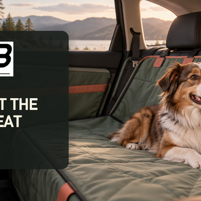 EV Bandit guide to protecting a Tesla rear seat and door panels for dogs while using Dog Mode