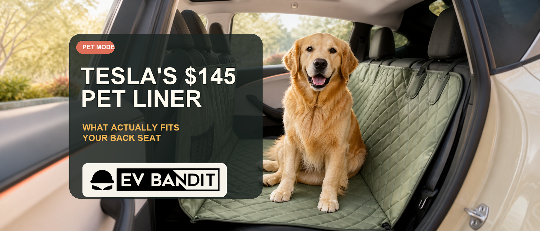 EV Bandit guide to Tesla's $145 pet liner and back-seat alternatives that fit