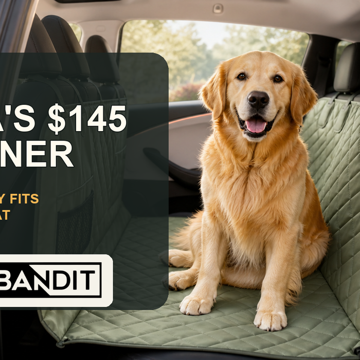 EV Bandit guide to Tesla's $145 pet liner and back-seat alternatives that fit