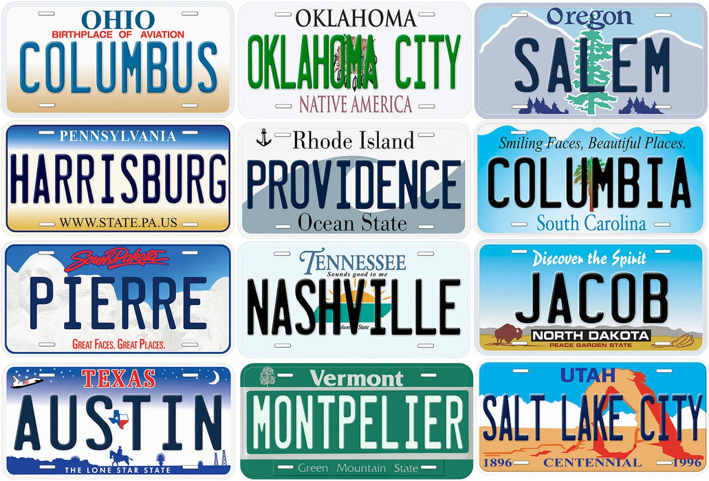 Personalized Privacy & Display License Plate (6x12) – Customizable Novelty Plate for Car Shows, Social Media, and Private Property Use