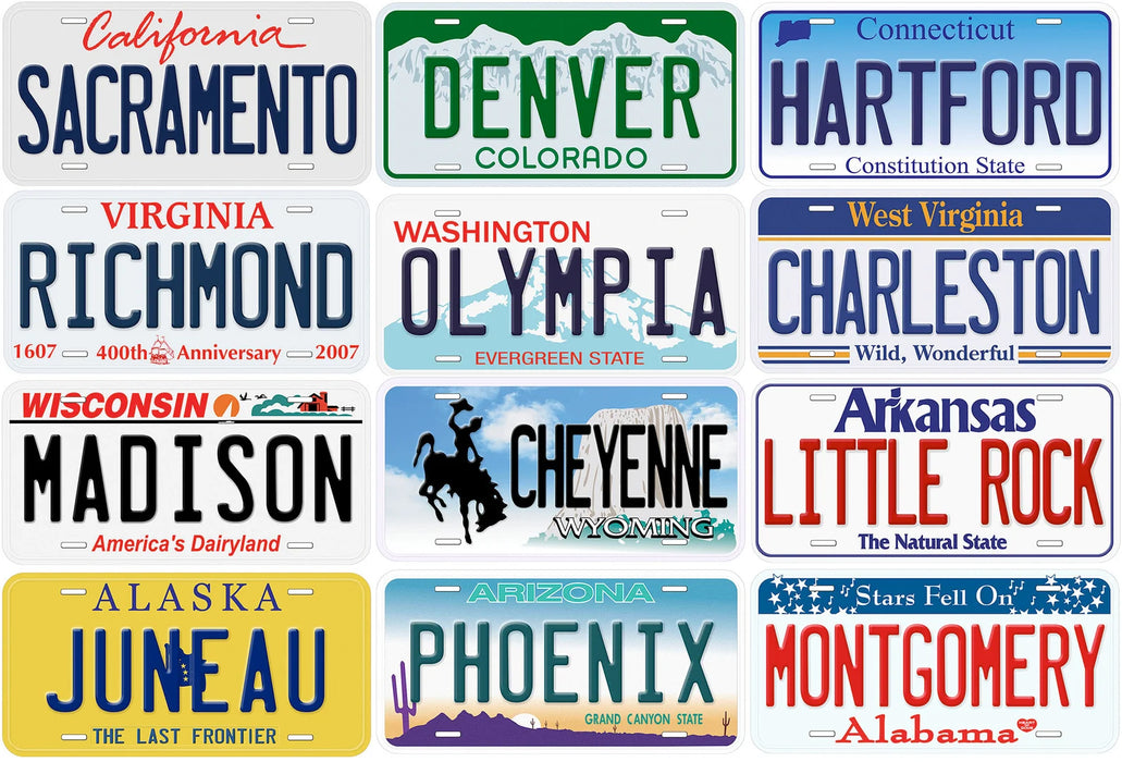 Personalized Privacy & Display License Plate (6x12) – Customizable Novelty Plate for Car Shows, Social Media, and Private Property Use