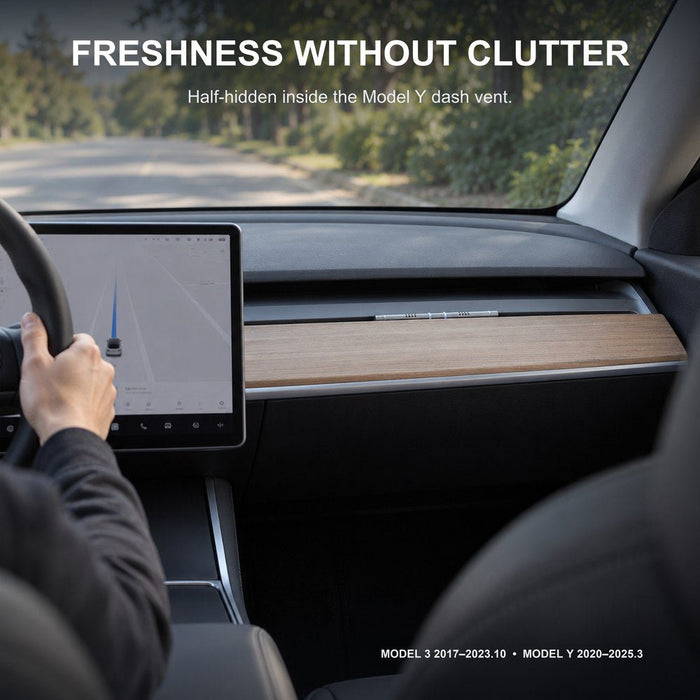 TESERY Car Fragrance Stick for Model 3/Y