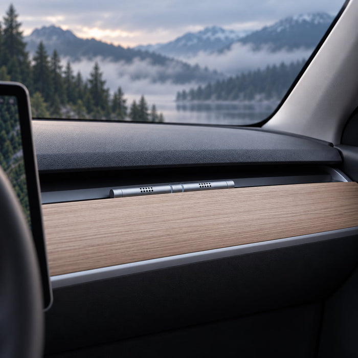 TESERY Car Fragrance Stick for Model 3/Y