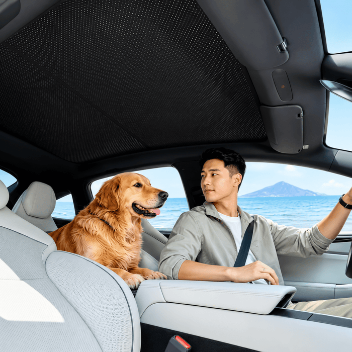 Glass Roof Sunshade for Model YL 6-Seater